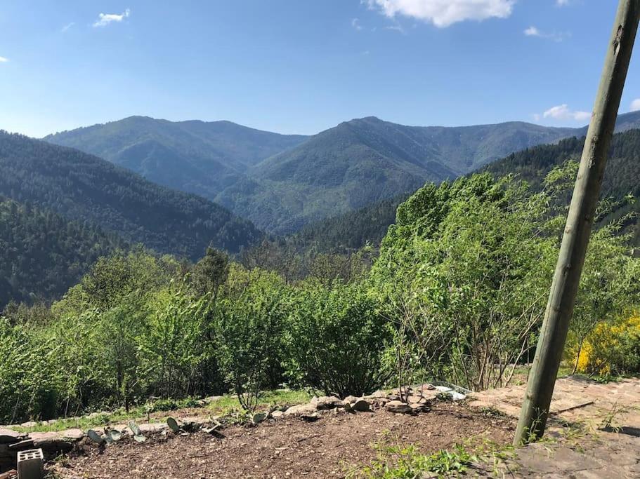 Maison rurale au cœur des Cévennes Ardéchoises Dompnac Esterno foto