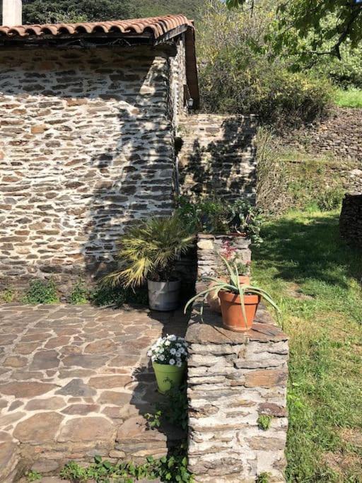 Maison rurale au cœur des Cévennes Ardéchoises Dompnac Esterno foto
