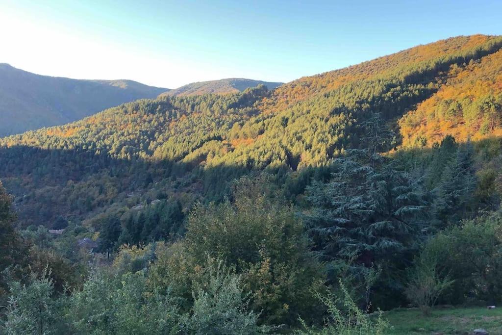 Maison rurale au cœur des Cévennes Ardéchoises Dompnac Esterno foto
